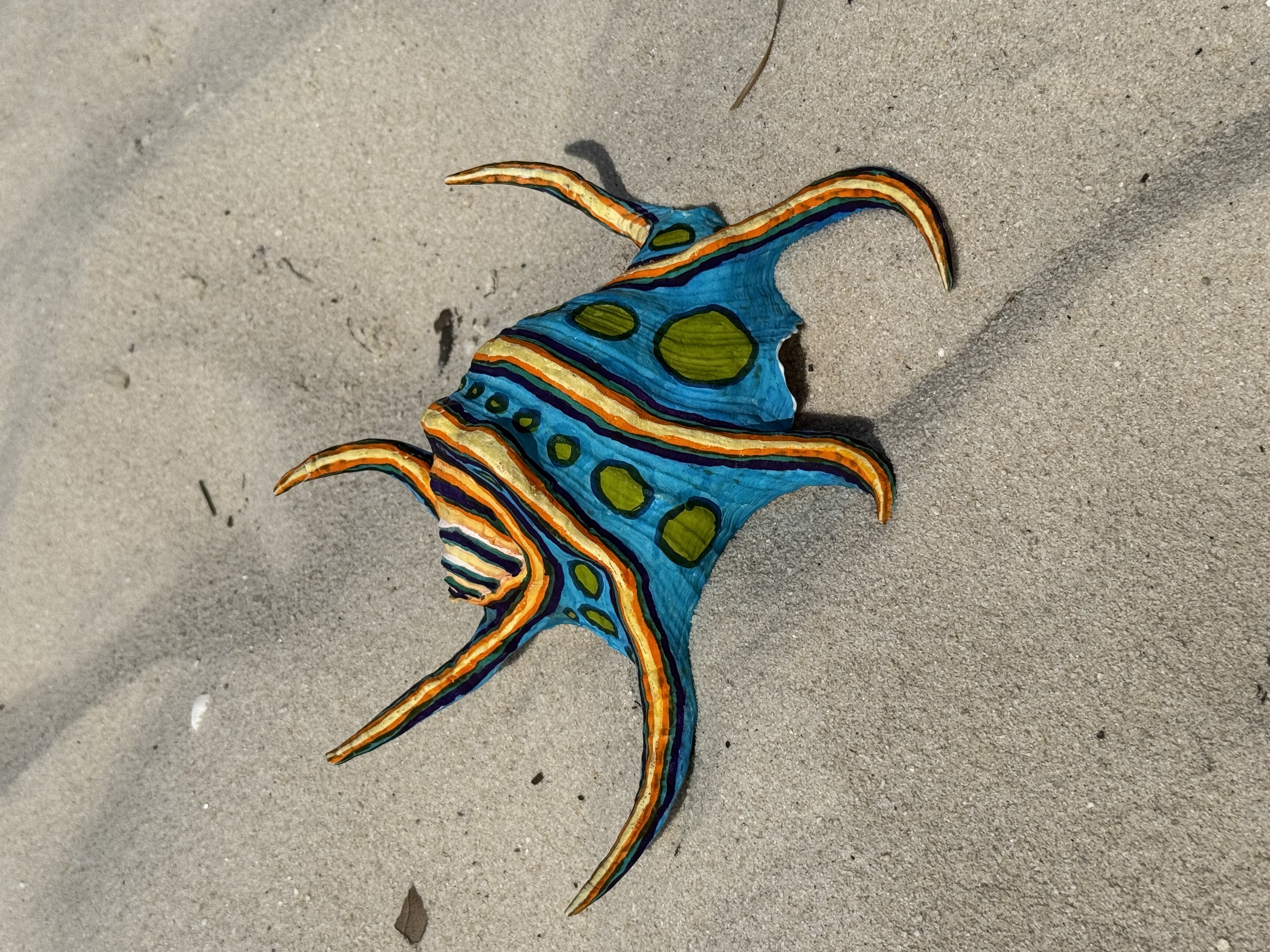 Shell 1