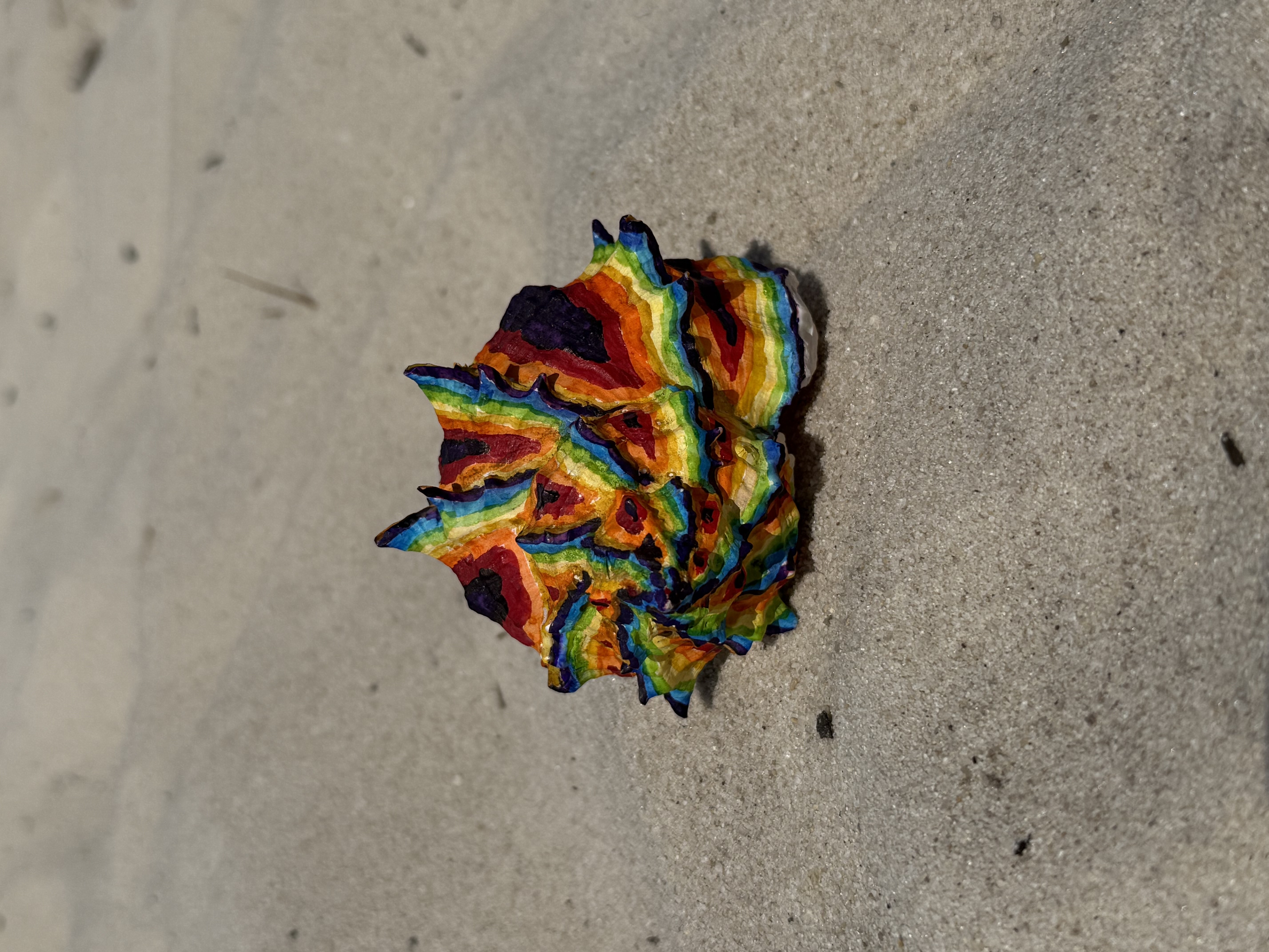 Shell 3